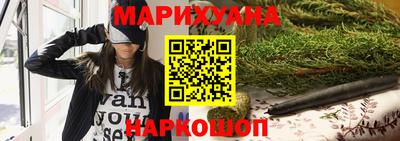 гидра Новозыбков
