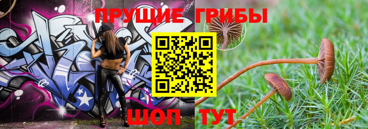 Галлюциногенные грибы Psilocybine cubensis  Вход с VPN  Солнечногорск 