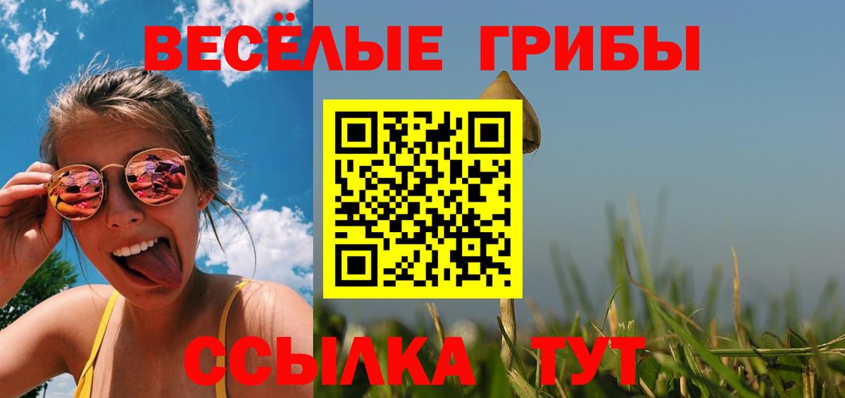 Псилоцибиновые грибы ЛСД Солнечногорск